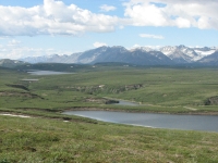 Lots of lakes and ponds along the highway